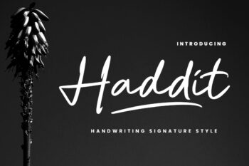 Haddit features OpenType stylistic alternates