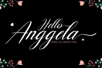 Hello Anggela Script | a new fresh & modern script