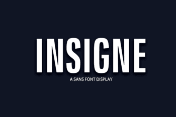 Insigne Display