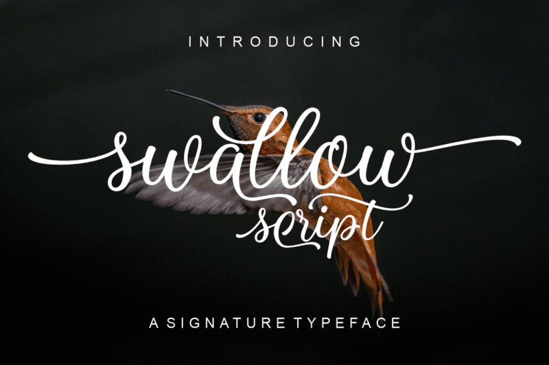 Swallow Script